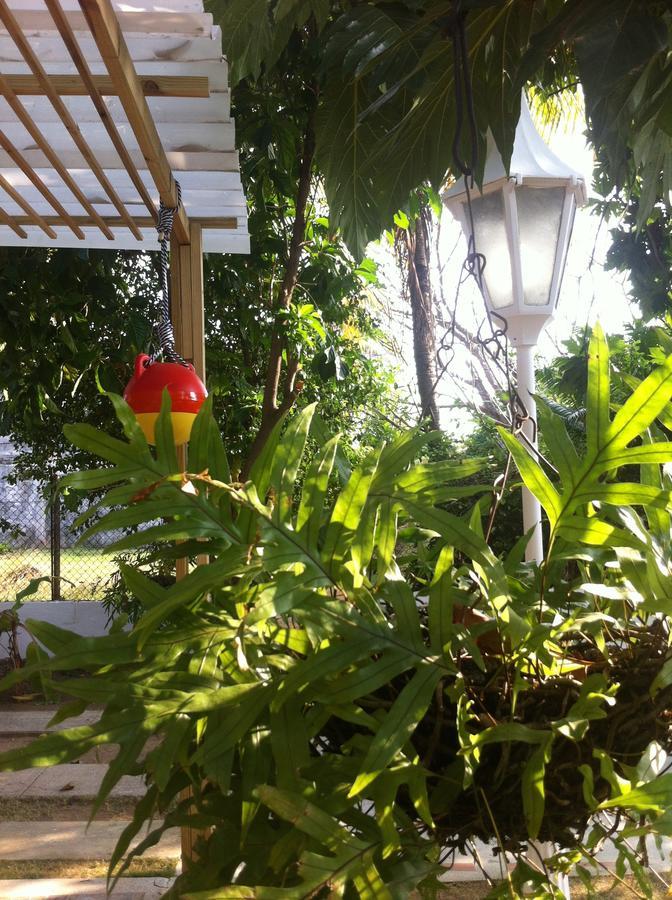 Hostal Casaluna San Andres Екстер'єр фото
